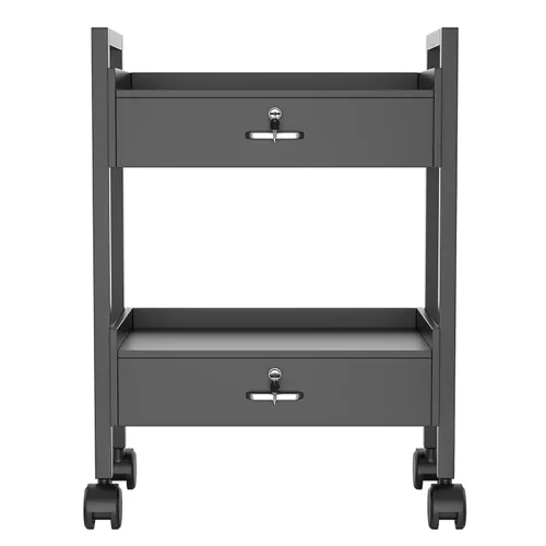 Carrito de gabinete de belleza para salón, carrito rodante de almacenamiento de 2 niveles, organizador de cajones con ruedas, herramientas con