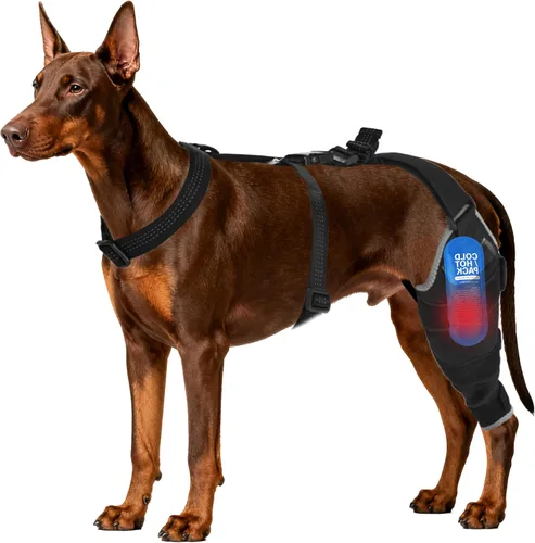 Rodillera para perro para pierna trasera, ajustable, transpirable, con paquetes de gel caliente y frío, soporta perros grandes y medianos con pierna