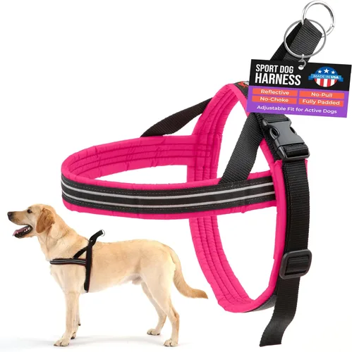 Arnés de deportes ComfortFlex de PetPDC, m, Rosado Neón Rosa encendido