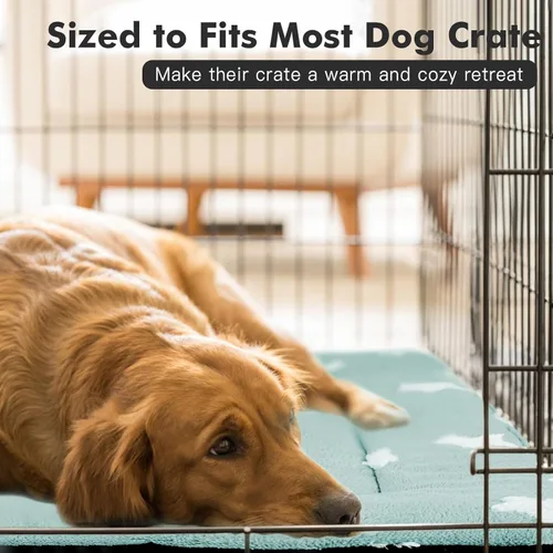 Miniatura 5 de Mora Pets Almohadilla para jaula para perros, alfombra para jaula de perrera para perros pequeños, lavable, bonita cama de estrella para mascotas