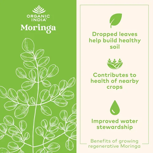 Miniatura 3 de Essential Nutrition, Súperalimento complejo de polvo de morango de la India orgánico, Abundante en vitaminas, minerales y aminoácidos, polvo de hoja