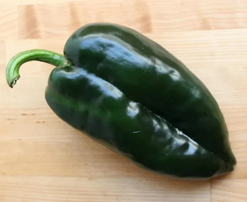 80 semillas de pimiento poblano ancho, orgánicas, reliquia, sin OMG, semillas siempre frescas, semillas de siembra para huerto doméstico