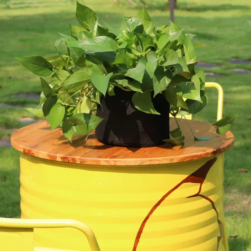 Miniatura 4 de Gardzen - 20 bolsas de cultivo con asas de 1 a 10 galones de tela 20-pack