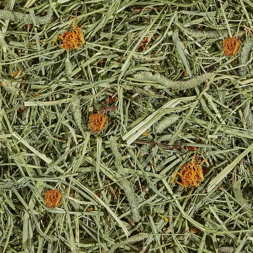 Miniatura 2 de Kaytee All Natural Timothy Hay Plus caléndulas para conejillos de indias, conejos y otros animales pequeños, 24 onzas