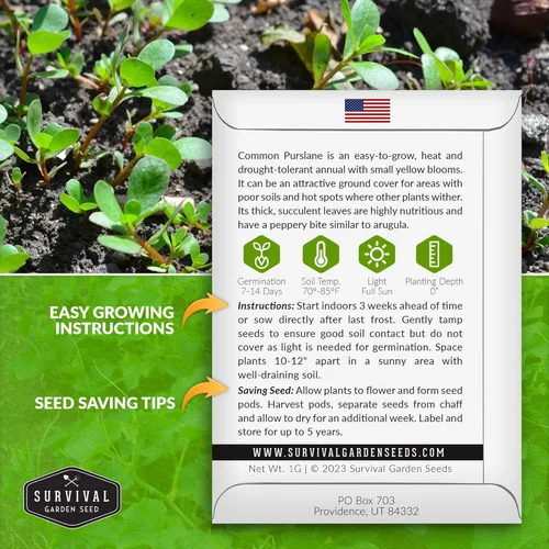 Miniatura 2 de Semillas de verdolaga para plantar, verde comestible Portulaca Oleracea Verdolagas, semillas de vegetales sin OMG para jardín en casa, semillas