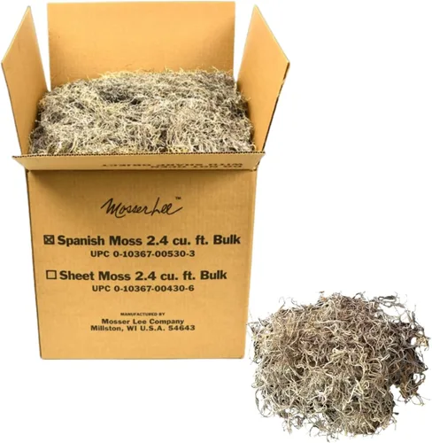 Mosser Lee Musgo español – Musgo decorativo natural para plantas de interior, cubierta de tierra, manualidades, terrarios y arreglos florales - 2.4