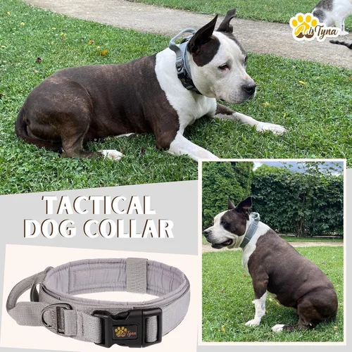 Miniatura 8 de ADITYNA Collar táctico para perros grandes, acolchado suave, resistente, servicio, ajustable, militar K9 con asa para entrenamiento y caminar Gris
