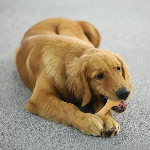 Miniatura 7 de Tikaton Juguetes masticables para perros para masticadores agresivos, sabor a pollo, juguetes masticables duraderos para dentición de perros, huesos