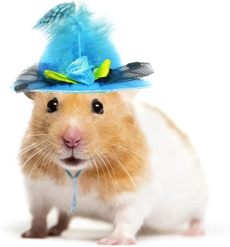 Miniatura 4 de 6 piezas de sombreros de pollo, sombreros para muñecas, ropa para osos, ropa para peluches, cascos de pollo
