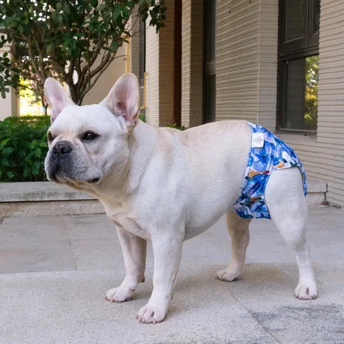 Miniatura 7 de CuteBone Pañales para perros sin agujero en la cola, paquete de 3 pantalones de entrenamiento para cachorros WWD04L