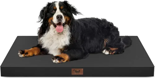 Miniatura 91 de Cama ortopédica de felpa para perros y cachorros medianos, camas impermeables para perros de 30 x 20 pulgadas con funda extraíble lavable, tapete