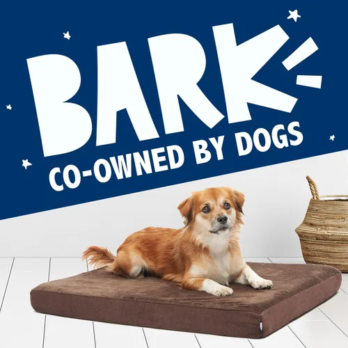 Miniatura 7 de Barkbox Cama ortopédica para perros Cómodo colchón de espuma viscoelástica para alivio de las articulaciones Soporte de cabeza y cuello Espresso