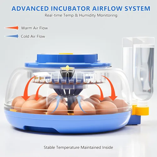 Miniatura 7 de Incubadoras para incubar huevos - Capacidad para 18 huevos, incubadora de huevos con giro automático de huevos y control de temperatura, incubadora