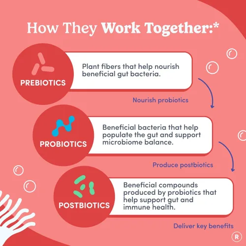 Miniatura 4 de FIRST DAY Gomitas probióticas 3 en 1 para mujer - Prebiótico + probiótico + suplemento postbiótico - Apoya la salud digestiva y oral, función
