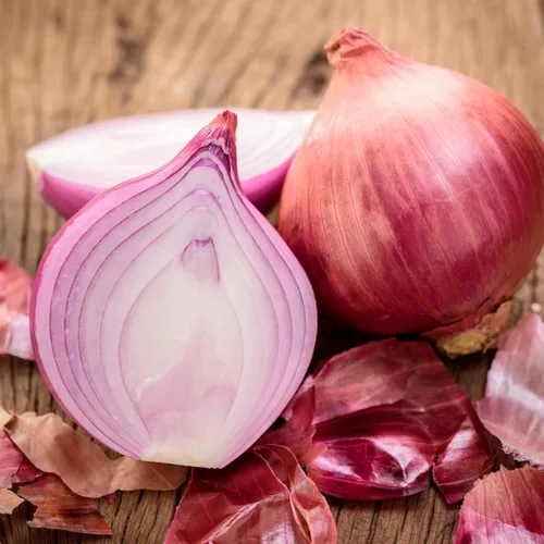 Miniatura 2 de Seed Needs Semillas de cebolla para plantar cebollas de día corto rojo burdeos, semillas de verduras sin tratar y sin OMG para plantar un jardín