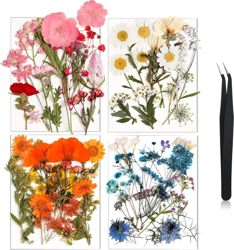 Miniatura 24 de Nuanchu Flores secas prensadas negras para manualidades, flores secas góticas, flores silvestres prensadas naturales a granel con pinzas para molde