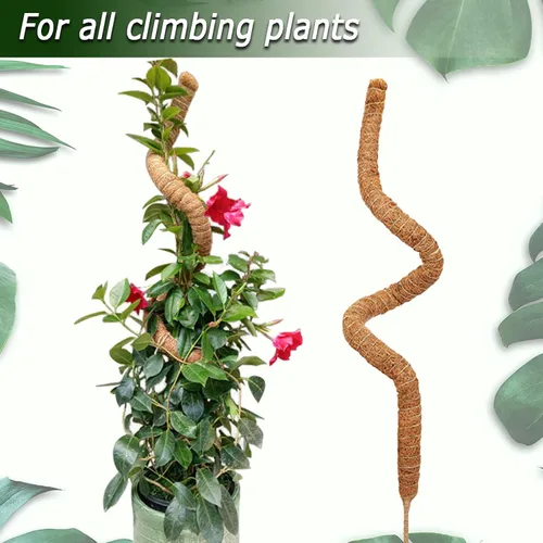 Miniatura 4 de Poste de musgo de 48 pulgadas, poste de musgo flexible para plantas Monstera, postes de musgo altos para plantas trepadoras de interiores, soporte