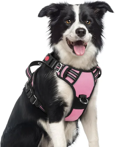 Miniatura 46 de rabbitgoo Arnés para perro de tamaño pequeño, chaleco para perro sin tirones con 3 hebillas, arnés ajustable y acolchado suave para mascotas con asa