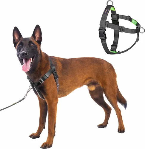 Miniatura 15 de Freedom - Arnés para perro sin tirones, fácil de caminar, deja de tirar con dos anillos en D de acero inoxidable, cómodo, etiquetas de instrucciones