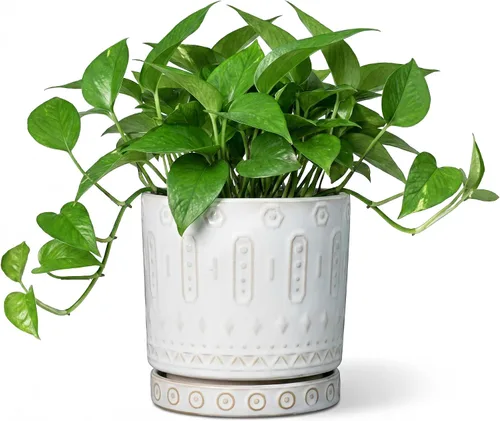 Miniatura 34 de Maceta de Cerámica Eightpot - Maceta de 20 cm para Interior con Agujeros de Drenaje y Platillo, Maceta Redonda para Exterior, Maceta Moderna de Azul