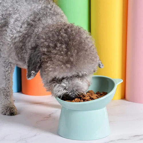 Miniatura 3 de Cuenco Elevado Inclinado para Comida de Gatos - Cuencos para Gatos Amigables con los Bigotes Anti Vómito Cuencos de Alimentación Inclinados Lindos