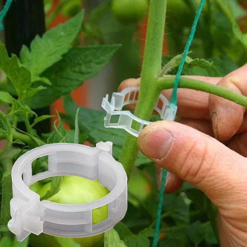 Miniatura 10 de 100 clips de soporte para plantas de jardín, clips de tomate, lazos para plantas, clips de enrejado, clips de enrejado para plantas de vid de Negro