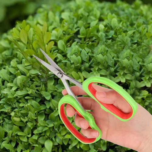Miniatura 2 de Tijeras de recortar jardín curvado Vivosun Tijeras de poda de uva de acero inoxidable Bonsái Rama de árboles frutales Tijeras de recorte Tijeras