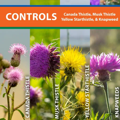 Miniatura 2 de Monterey Thistledown incluido con cuchara medidora, concentrado de control de cardo y trébol herbicidas, 8 onzas
