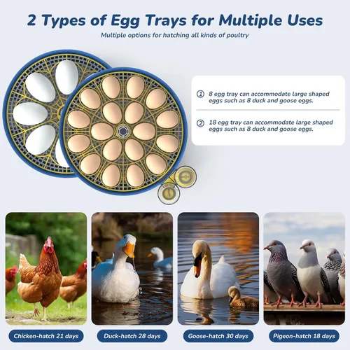 Miniatura 7 de Incubadora para incubar huevos con giro automático de huevos y control de temperatura/humedad, incubadora de 18 huevos para huevos de Azul glaciar