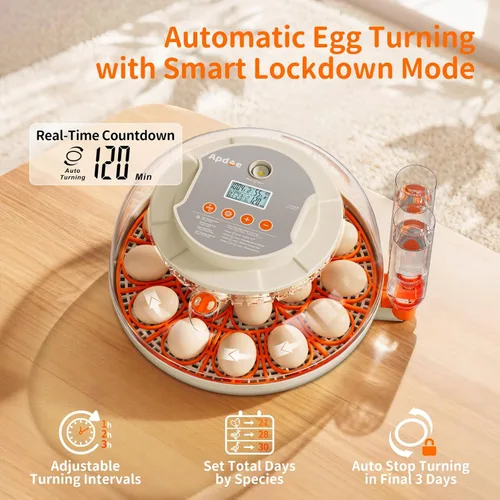 Miniatura 4 de APDOE Incubadoras de huevos para incubar huevos, control de temperatura y humedad, giro automático de huevos, vela de huevos, botella de agua