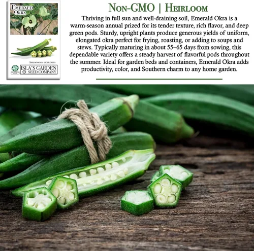 Miniatura 3 de Semillas de okra esmeralda para plantar (Abelmoschus esculentus) – Más de 150 semillas sin OMG y reliquias de Isla's Garden Seeds, cápsulas verdes