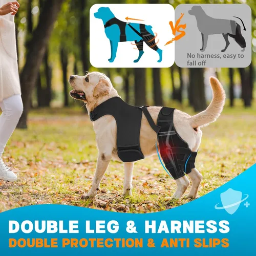 Miniatura 3 de Rodillera para perro para pierna trasera desgarrada, ajustable para pierna trasera con 5 estabilizadores, reduce el dolor, lesiones de ligamentos