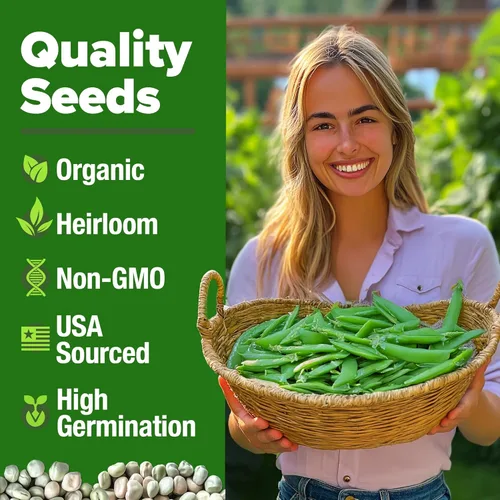 Miniatura 2 de HOME GROWN Semillas orgánicas de guisantes cascadia, más de 100 semillas tradicionales sin OMG para plantar, alta germinación, vainas comestibles
