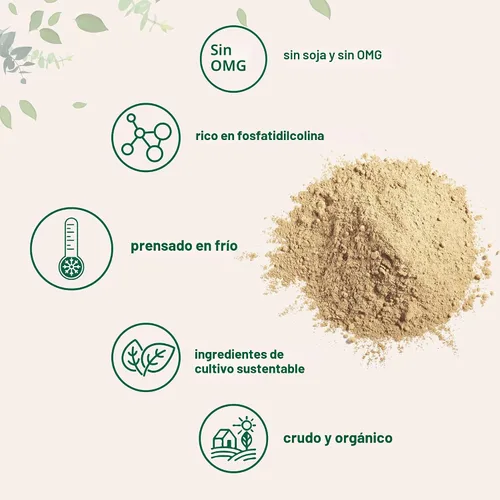 Miniatura 4 de Micro Ingredients Polvo de Lecitina de Girasol Orgánico, 1 Libra, Cultivado de Manera Sostenible, Prensado en Frío, Rico en Fosfatidilcolina