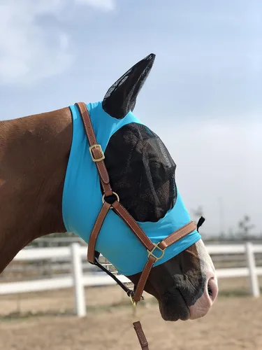 Miniatura 5 de Máscara para caballo Tgw Riding, con orejas, con agarre extracómodo, de malla suave, Azul, M Pacific Blue