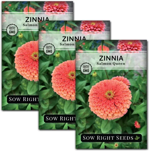Miniatura 7 de Sow Right Seeds - Semillas de zinnia Salmon Queen para plantar - Paquete de reliquia sin OMG para plantar y cultivar un jardín de flores en el hogar