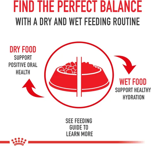 Miniatura 5 de Royal Canin Breed Health Nutrition Pomeranian Adulto Loaf en Salsa Comida para Perros, 3 oz (Paquete de 24)