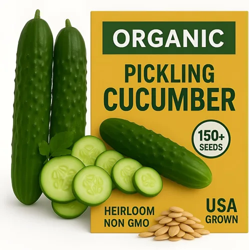 Miniatura 8 de Más de 250 semillas de pepino orgánico Marketmore – Semillas reliquia premium – Perfectas para jardines, camas elevadas y contenedores – Crujientes