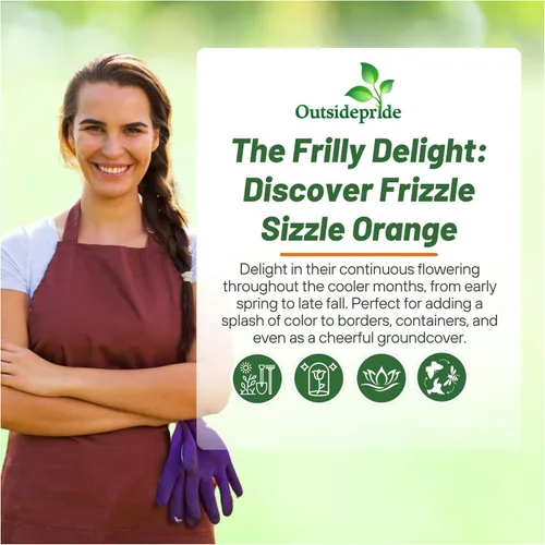 Miniatura 5 de Outsidepride Frizzle Sizzle - Semillas de pensamiento de viola naranja para plantar, 50 unidades. Flores bienales, resistentes al frío y aptas
