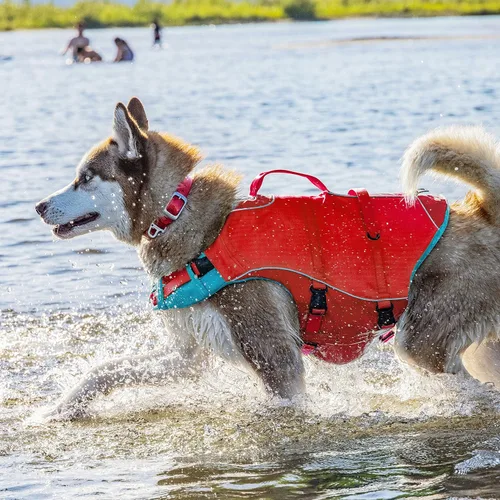 Miniatura 2 de Chaleco salvavidas para perros Kurgo Surf N Turf, rojo burdeos, S, Rojo/Rojo