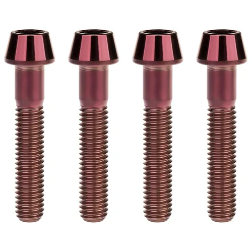 Miniatura 36 de Titanio Ti M6 x 10 16 18 20 25 30 35 40 45 50 55 60 2.559 in Allen - Tornillos hexagonales de 2.559 in, tornillos cónicos, paquete de 4