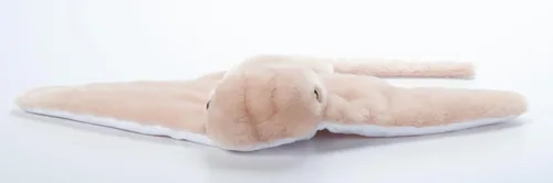 Miniatura 3 de The Petting Zoo Cownose Ray - Peluche de peluche, regalos para niños, animales marinos Wild Onez, juguete de peluche de rayas de 24 pulgadas