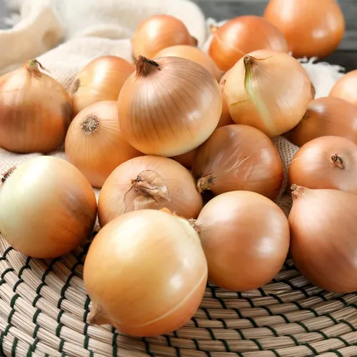 Miniatura 2 de Onion-Texas Early Grano 502 (250 semillas)