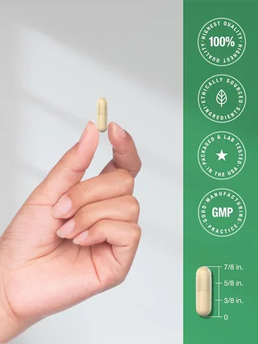 Miniatura 7 de Horbäach Cápsulas de canela de Ceilán, 250 unidades, sin OMG, sin gluten