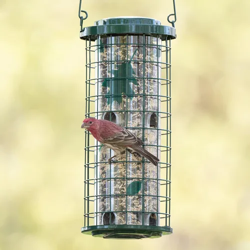 Miniatura 2 de Perky-Pet Comedero para pájaros de ardilla de 114G, a prueba de ardillas, para exteriores, decoración de jardín al aire libre Verde