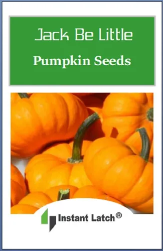 Miniatura 2 de 20 semillas de calabaza Jack Be Little para plantar semillas de jardín de Instant Latch sin OMG