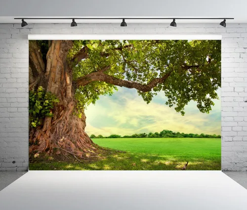 Miniatura 2 de Fondo de poliéster de 6 x 4 pies, paisaje rural, campo, primavera, verano, campo, pícnic, al aire libre, telón de fondo de naturaleza para fotos