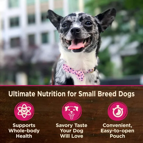 Miniatura 4 de Wellness CORE - Mini comidas naturales para razas pequeñas, sin granos, comida húmeda para perros, pollo rallado y pavo en salsa, bolsa de 3 onzas