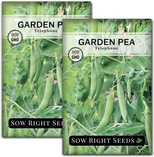 Miniatura 7 de Sow Right Seeds - Semillas de guisantes telefónicos para plantar - Paquete de reliquia sin OMG con instrucciones para cultivar un huerto doméstico