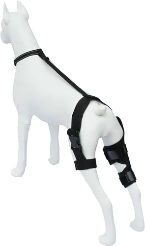 Miniatura 2 de Rodillera para perro para soporte de pierna trasera, recuperación de ACL y alivio del dolor en las articulaciones, manga de compresión ajustable